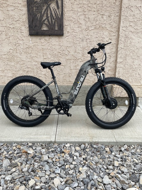 EUNORAU FAT AWD 2.0 (Step Thru)