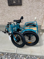 EUNORAU New Trike (Folding)