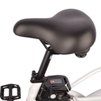 DJ Folding Step Thru Bike  (WHITE)