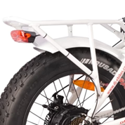 DJ Folding Step Thru Bike  (WHITE)